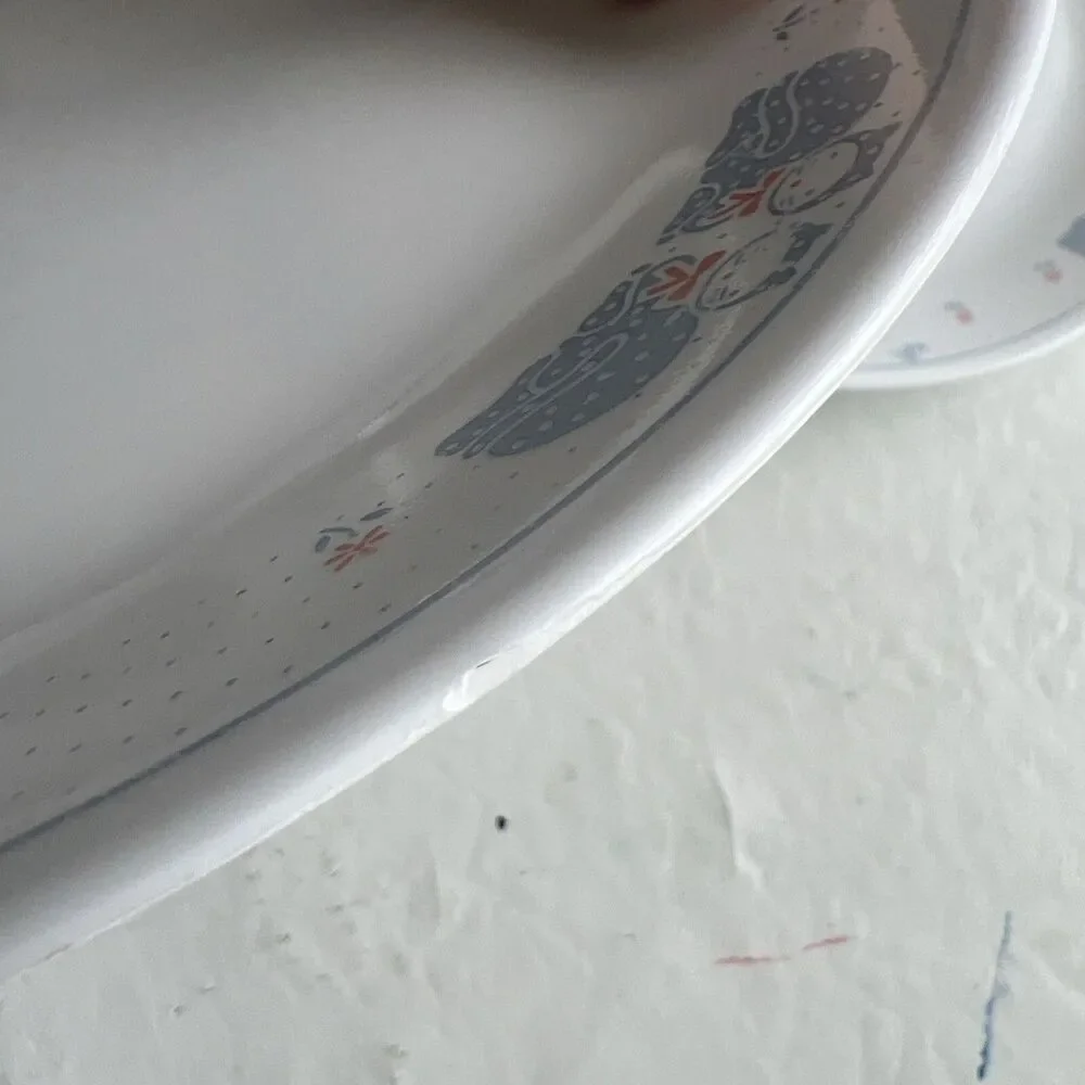 Corelle tiny chip